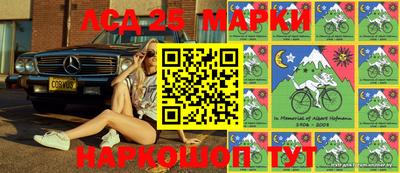 крисы Кулебаки