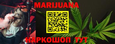крисы Кулебаки