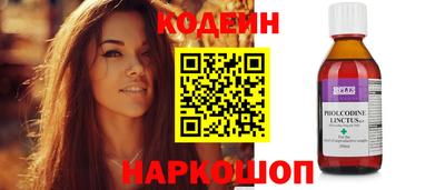 крисы Кулебаки