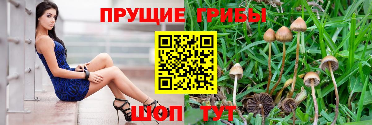 Камышин  Галлюциногенные грибы ЛСД  Вход с VPN 